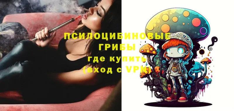 Псилоцибиновые грибы Psilocybe  закладки  Шелехов 